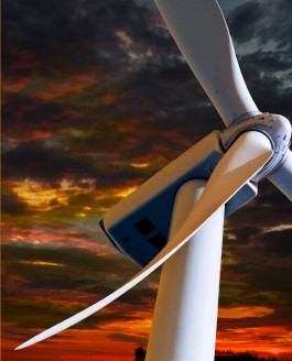 Gemma Renewable Power Photo Assignment